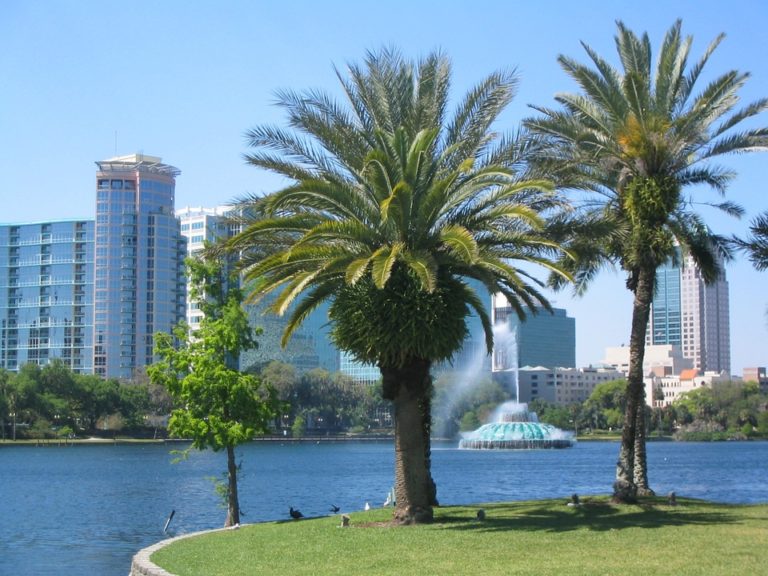 How Much Does it Cost to Move Locally in Orlando?